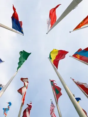 Proceso de Apelación de Asilo en los Estados Unidos
