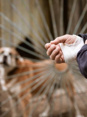 Posso pedir indeniza&ccedil;&atilde;o por mordida de cachorro?